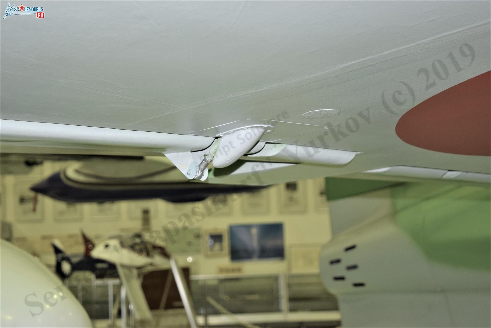 M_J8M_Komaki_45.jpg