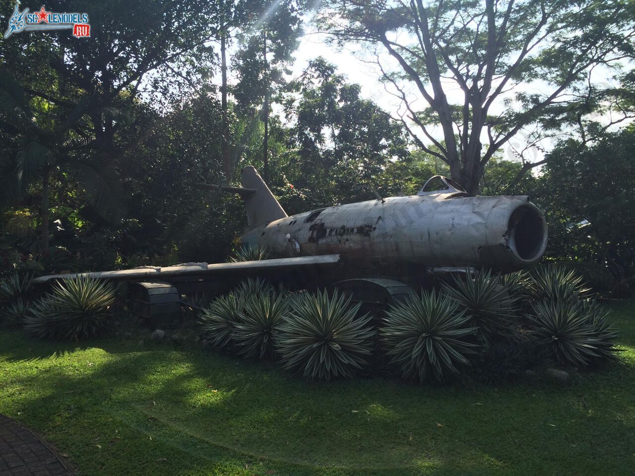 Mig-17F_CF-904_Ratmalana_8.jpg