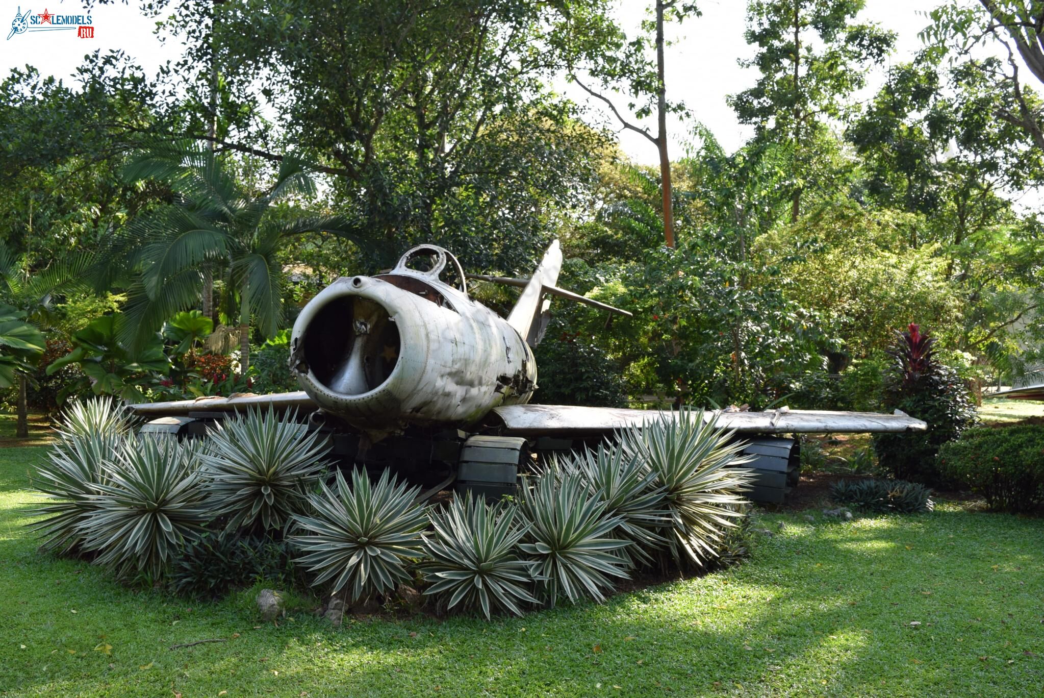 Mig-17F_CF-904_Ratmalana_1.jpg