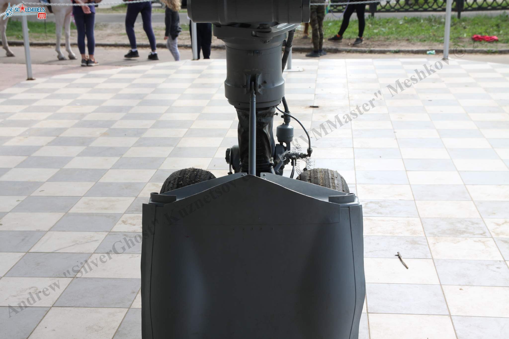 MiG-25RBSh_1003.jpg