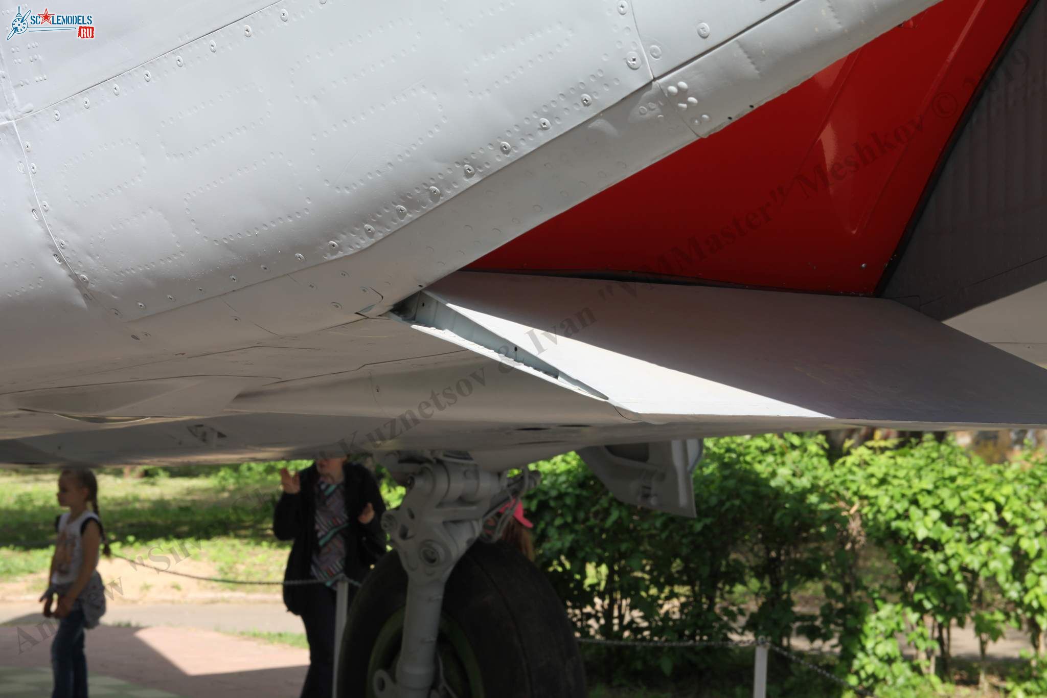 MiG-25RBSh_1187.jpg
