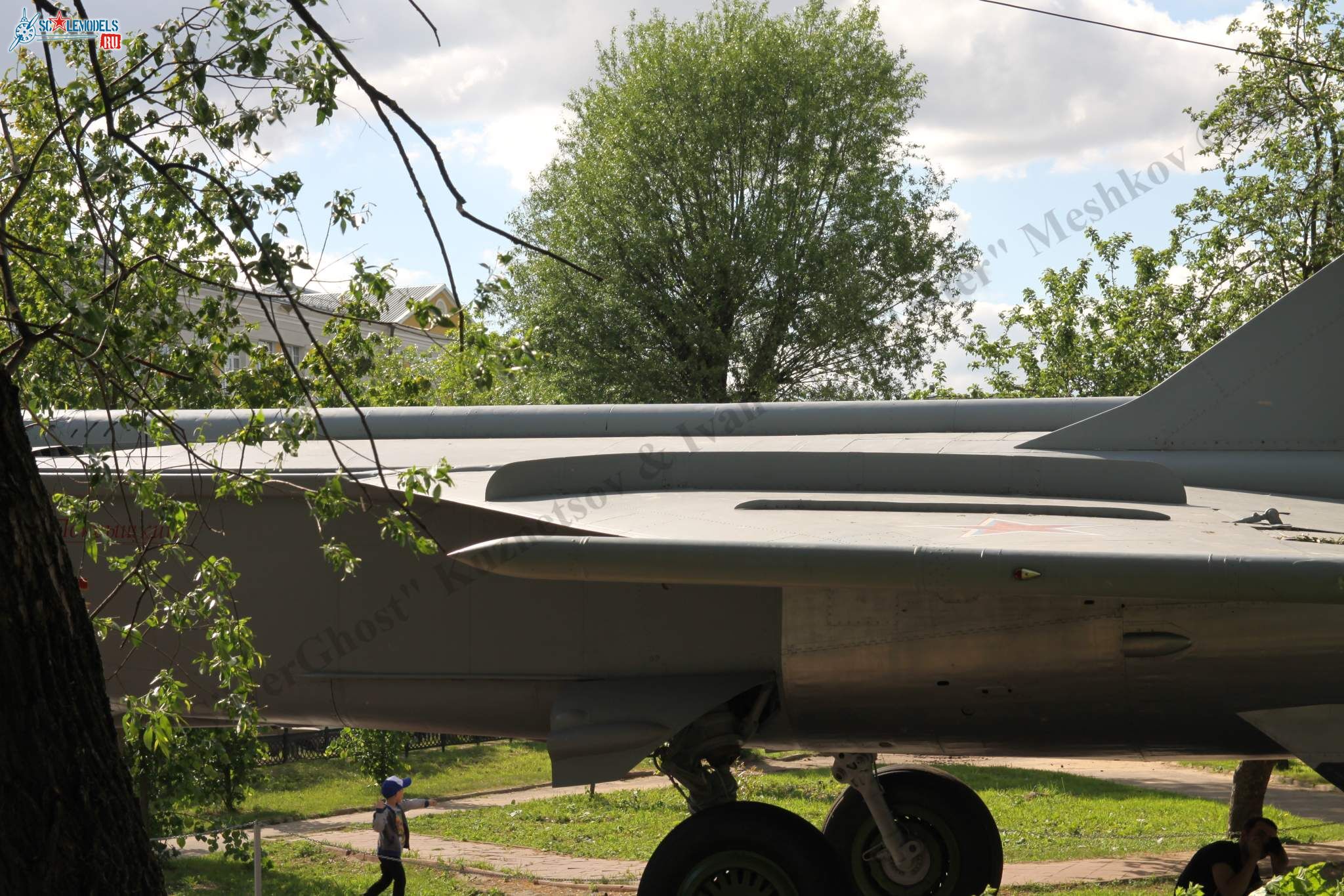 MiG-25RBSh_1204.jpg