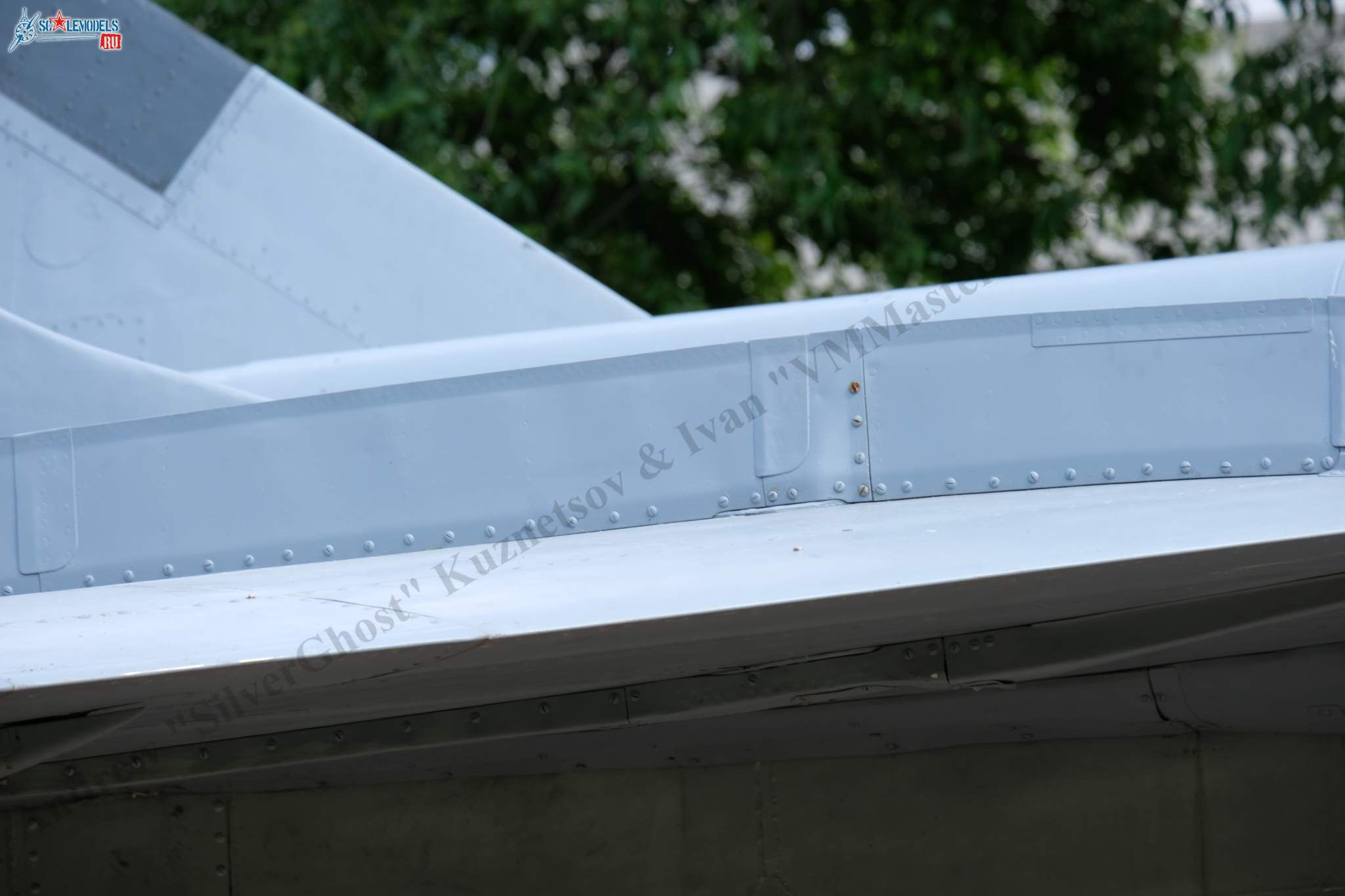 MiG-25RBSh_257.jpg