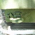 BTR-60_Belogorsk_101.jpg