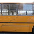 Ikarus-283_259.jpg