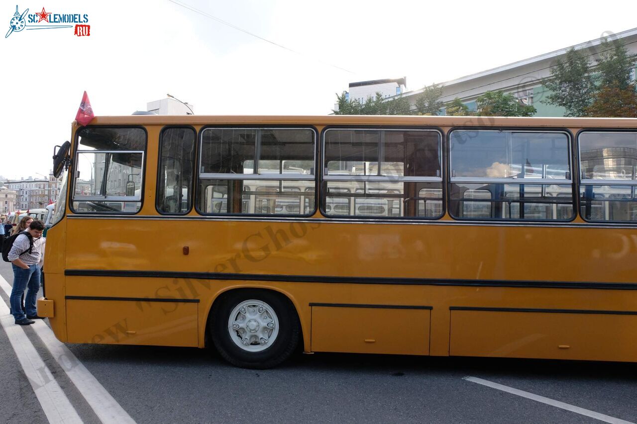 Ikarus-283_265.jpg