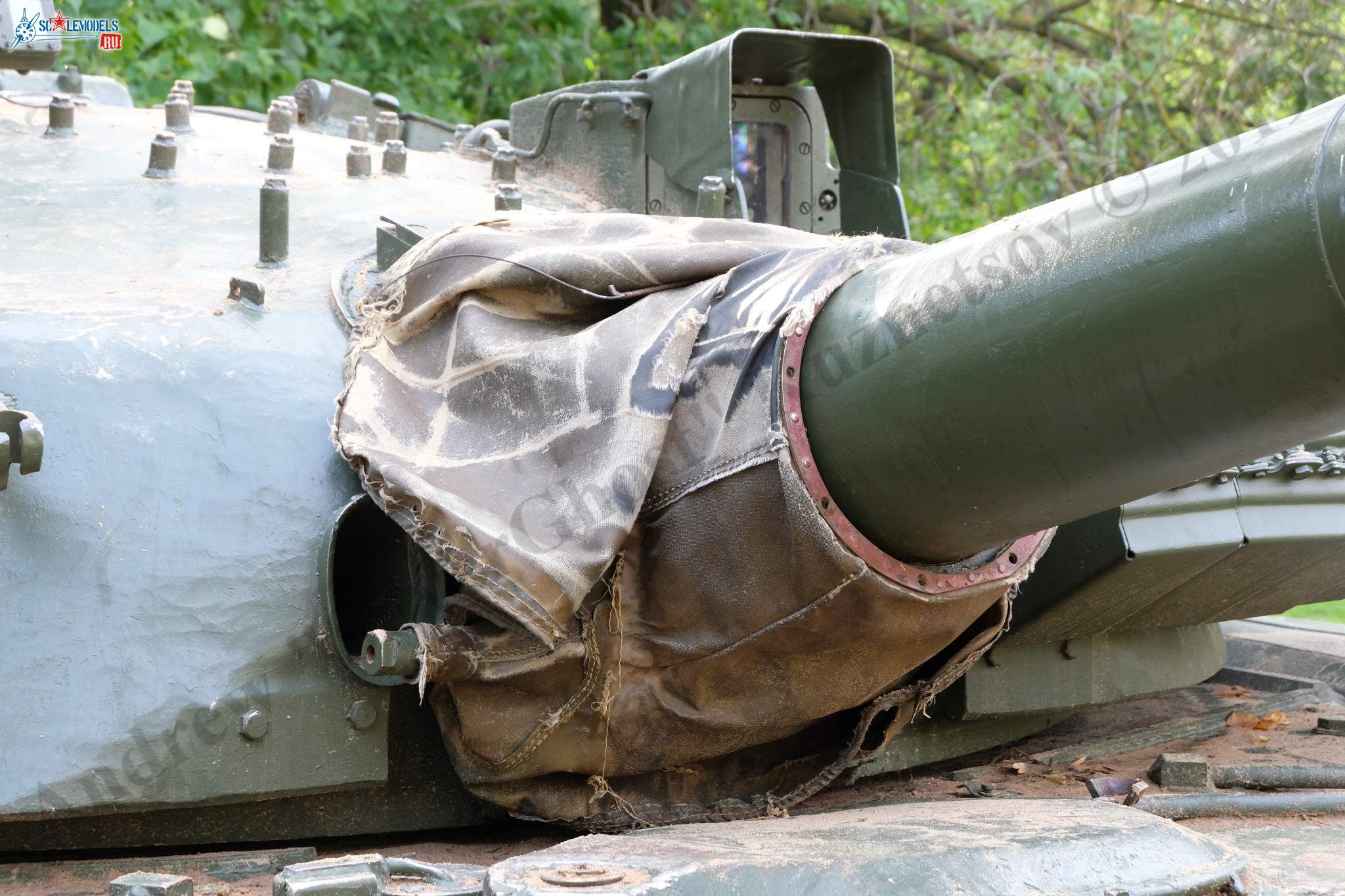 T-80BV_Tver_184.jpg
