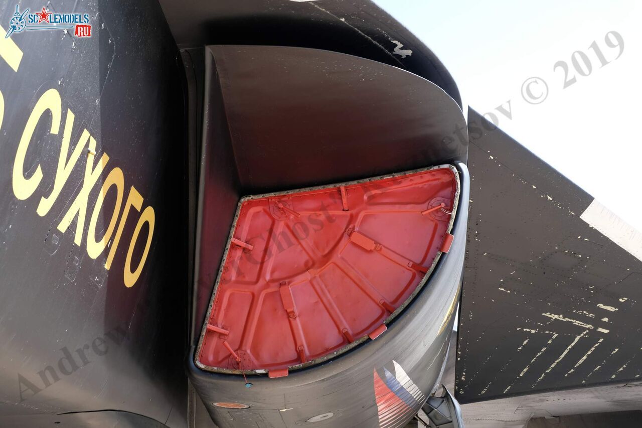 Su-47_Berkut_286.jpg