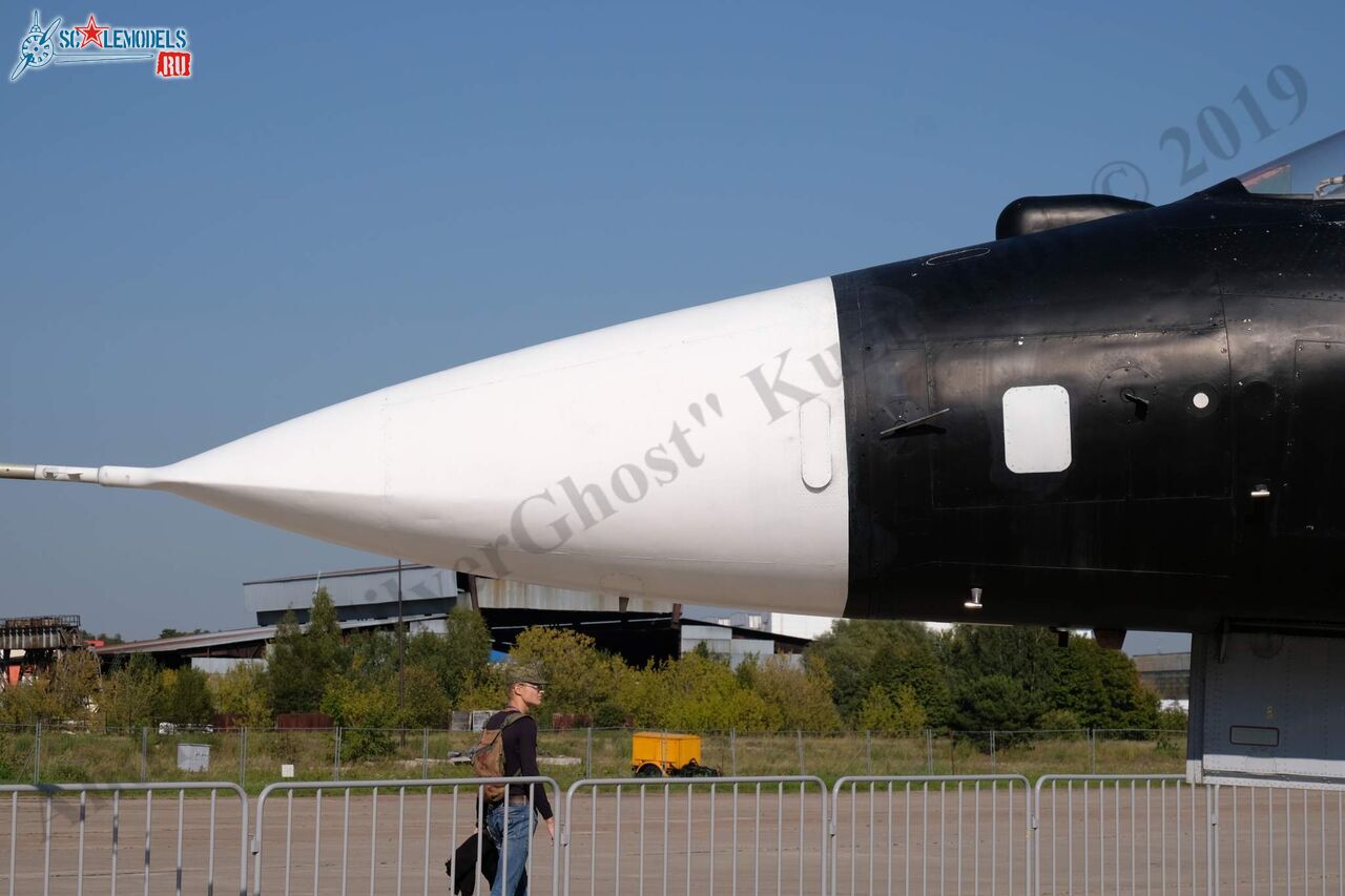Su-47_Berkut_374.jpg