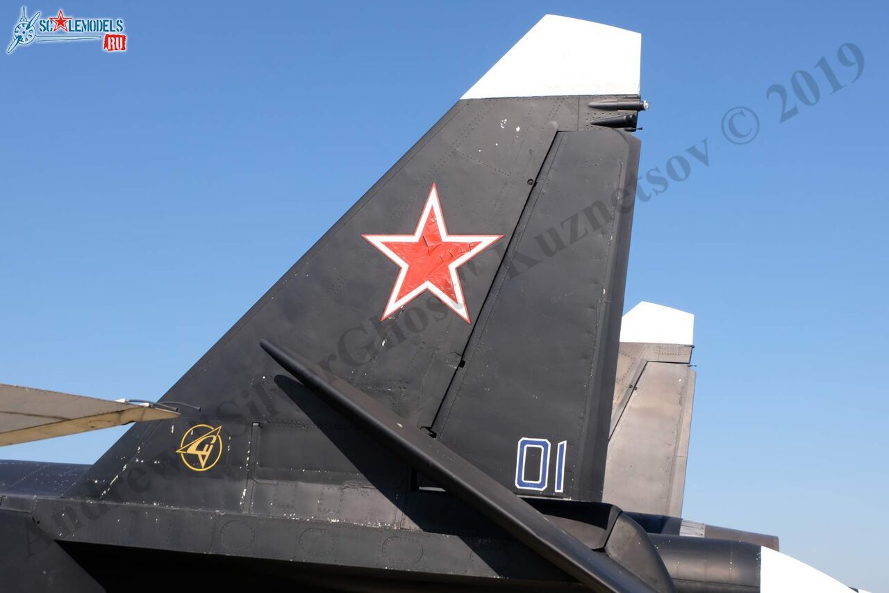 Su-47_Berkut_395.jpg