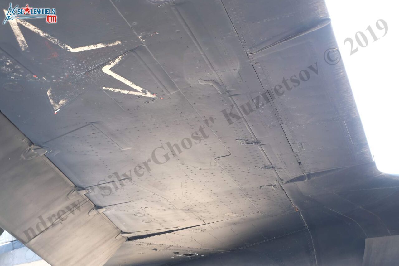 Su-47_Berkut_487.jpg