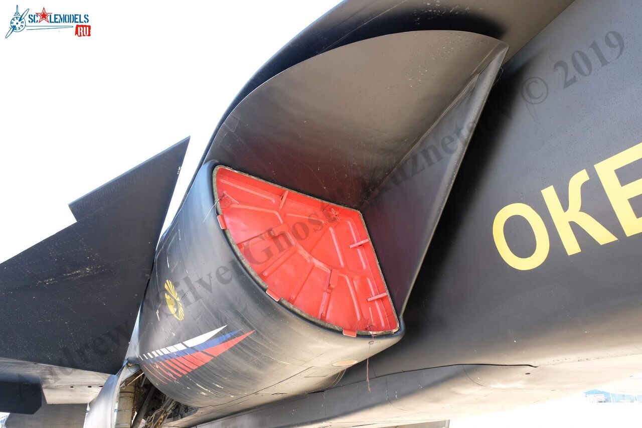 Su-47_Berkut_594.jpg