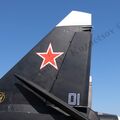 Su-47_Berkut_61.jpg