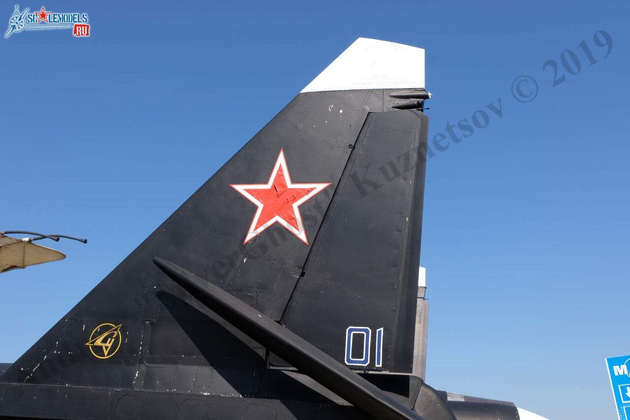 Su-47_Berkut_61.jpg