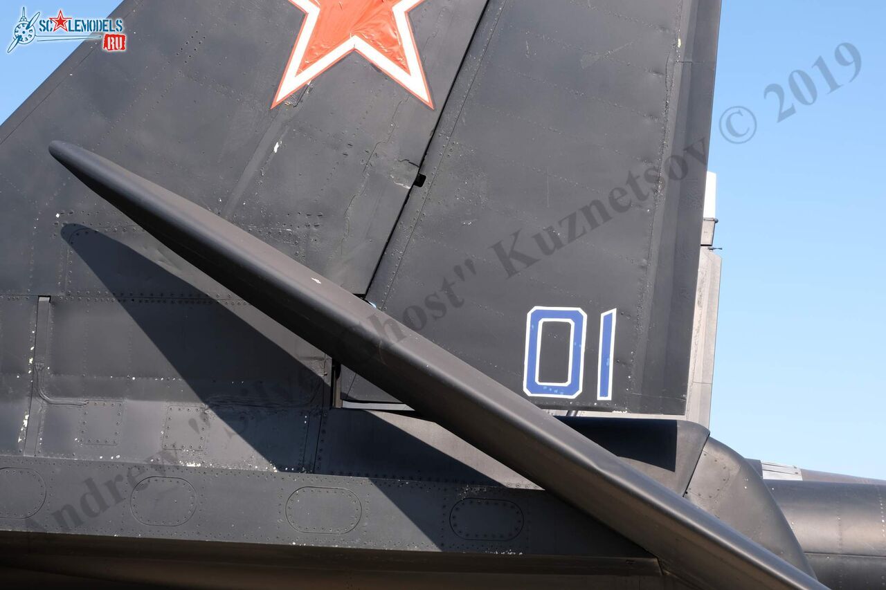 Su-47_Berkut_65.jpg