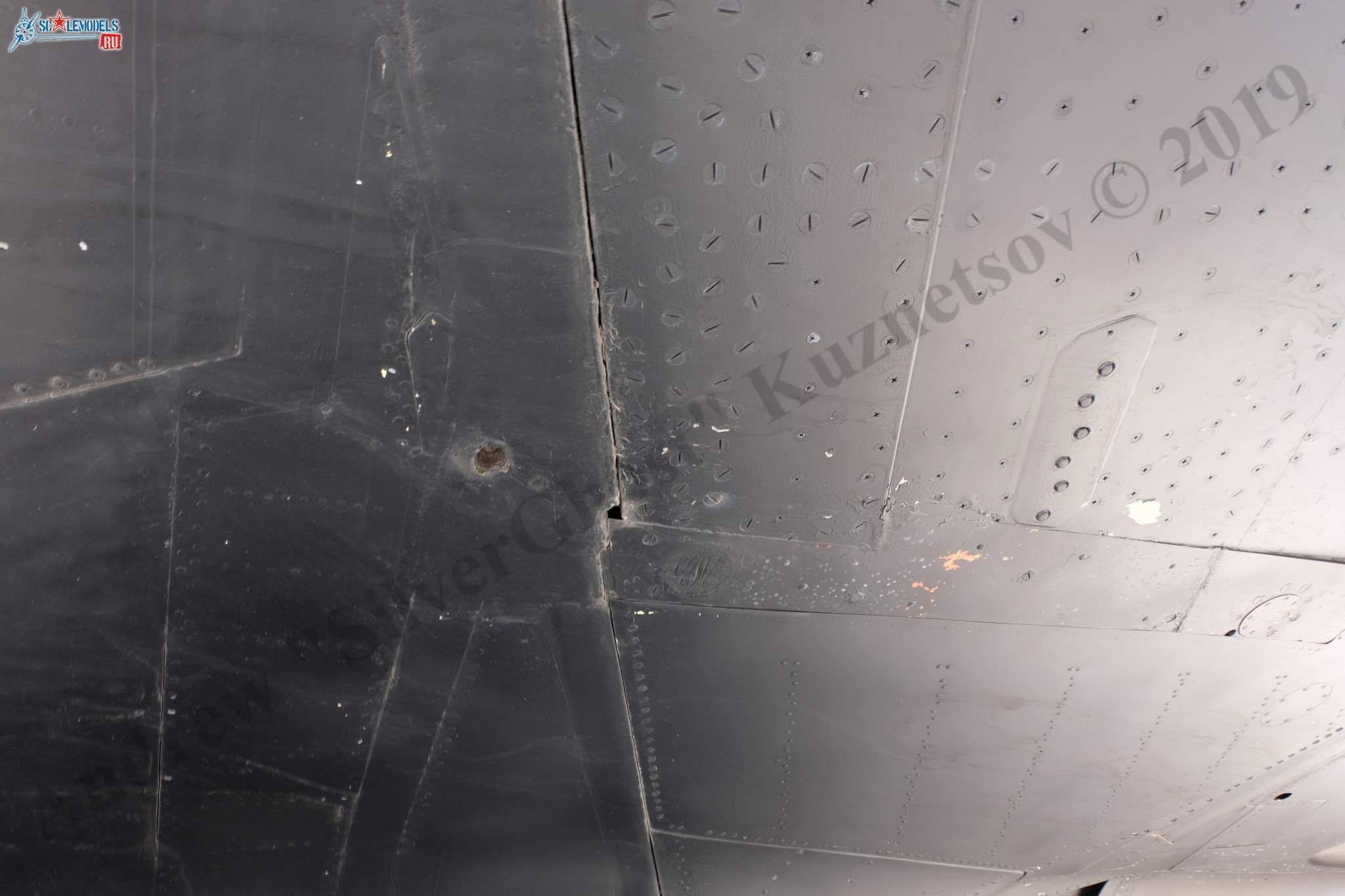 Su-47_Berkut_141.jpg