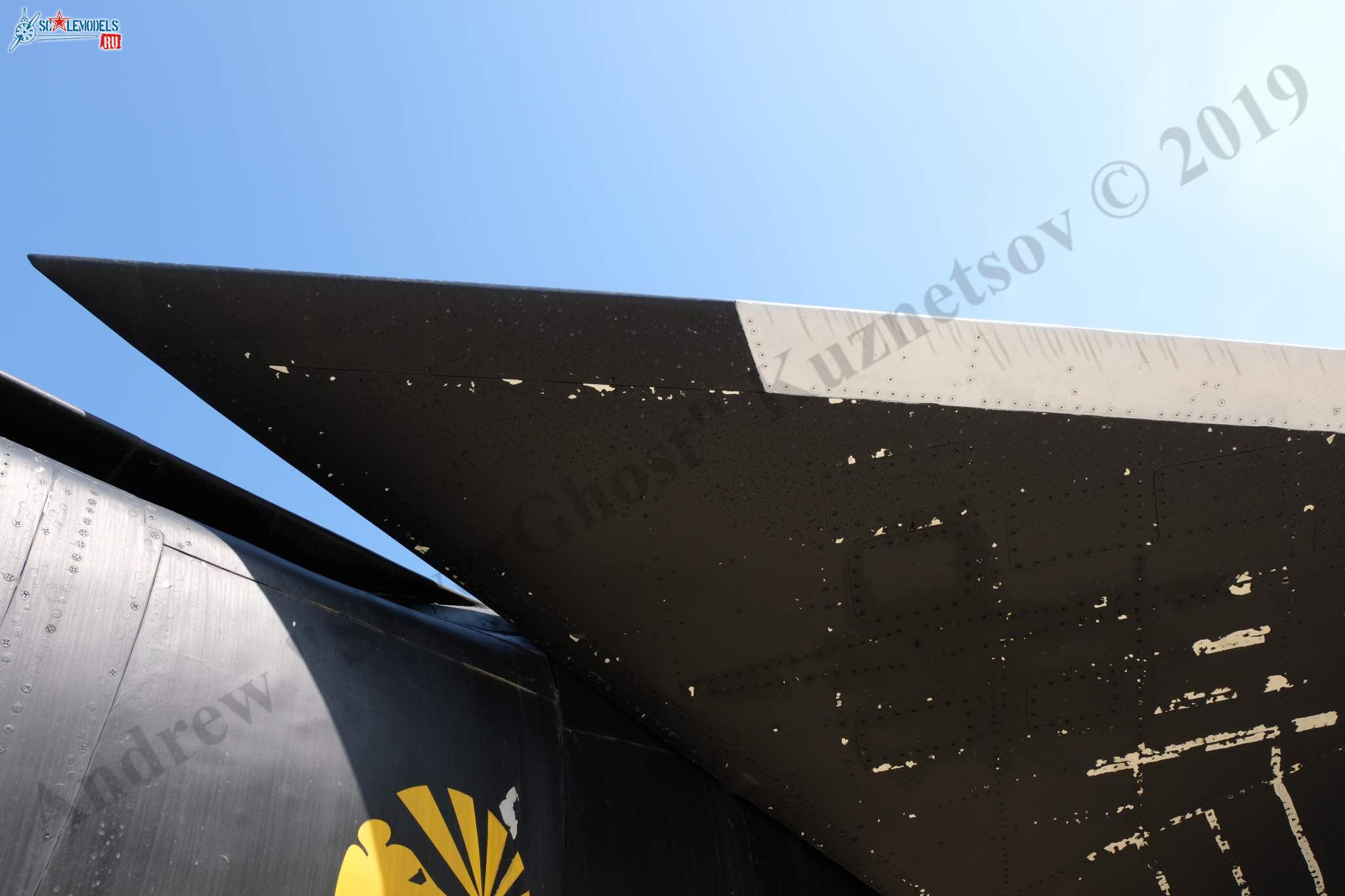 Su-47_Berkut_221.jpg