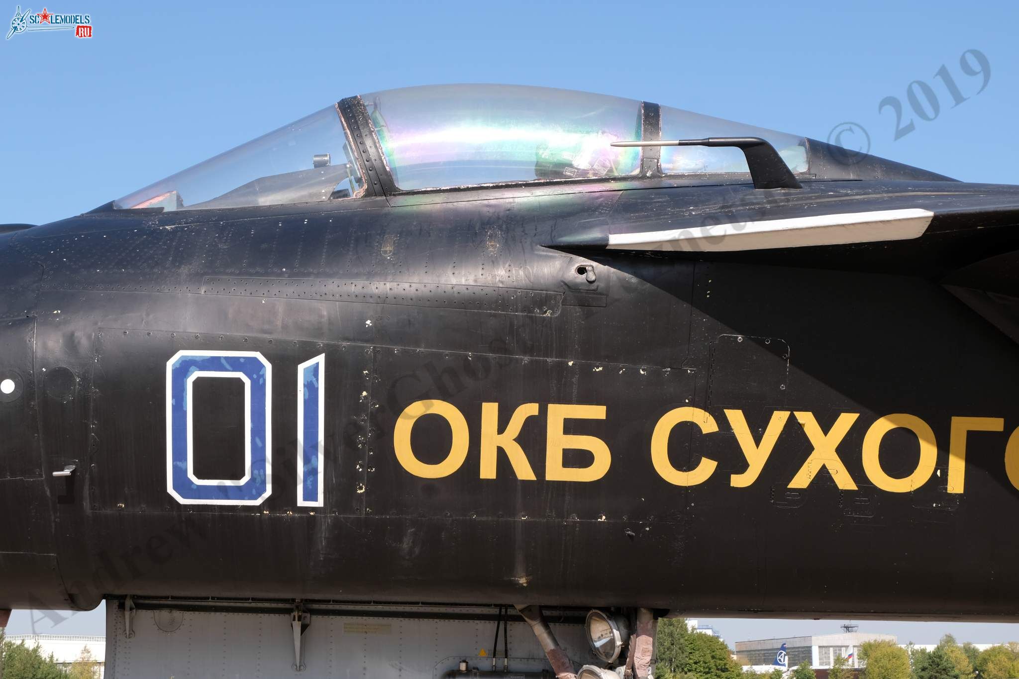 Su-47_Berkut_307.jpg