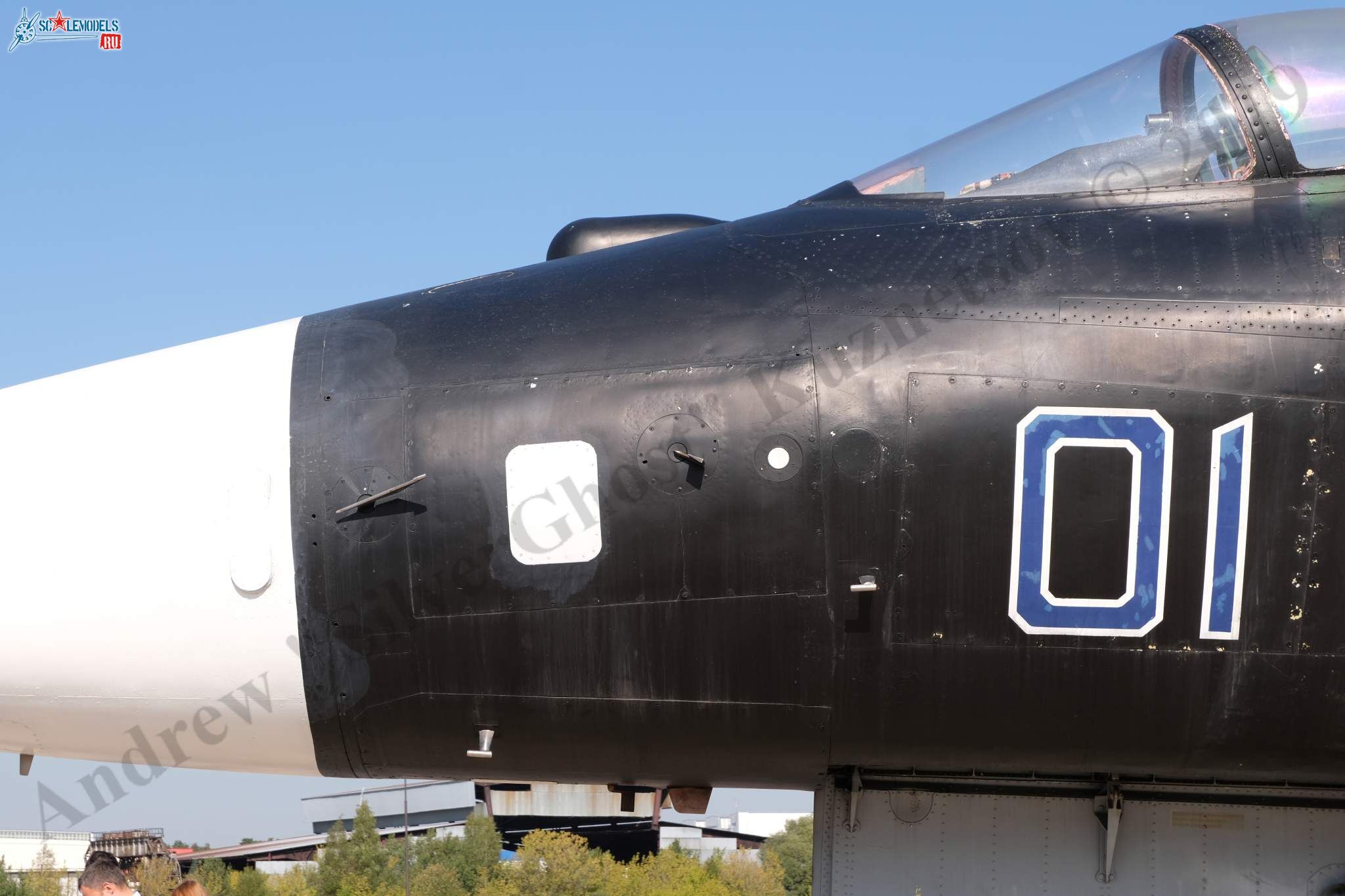 Su-47_Berkut_312.jpg