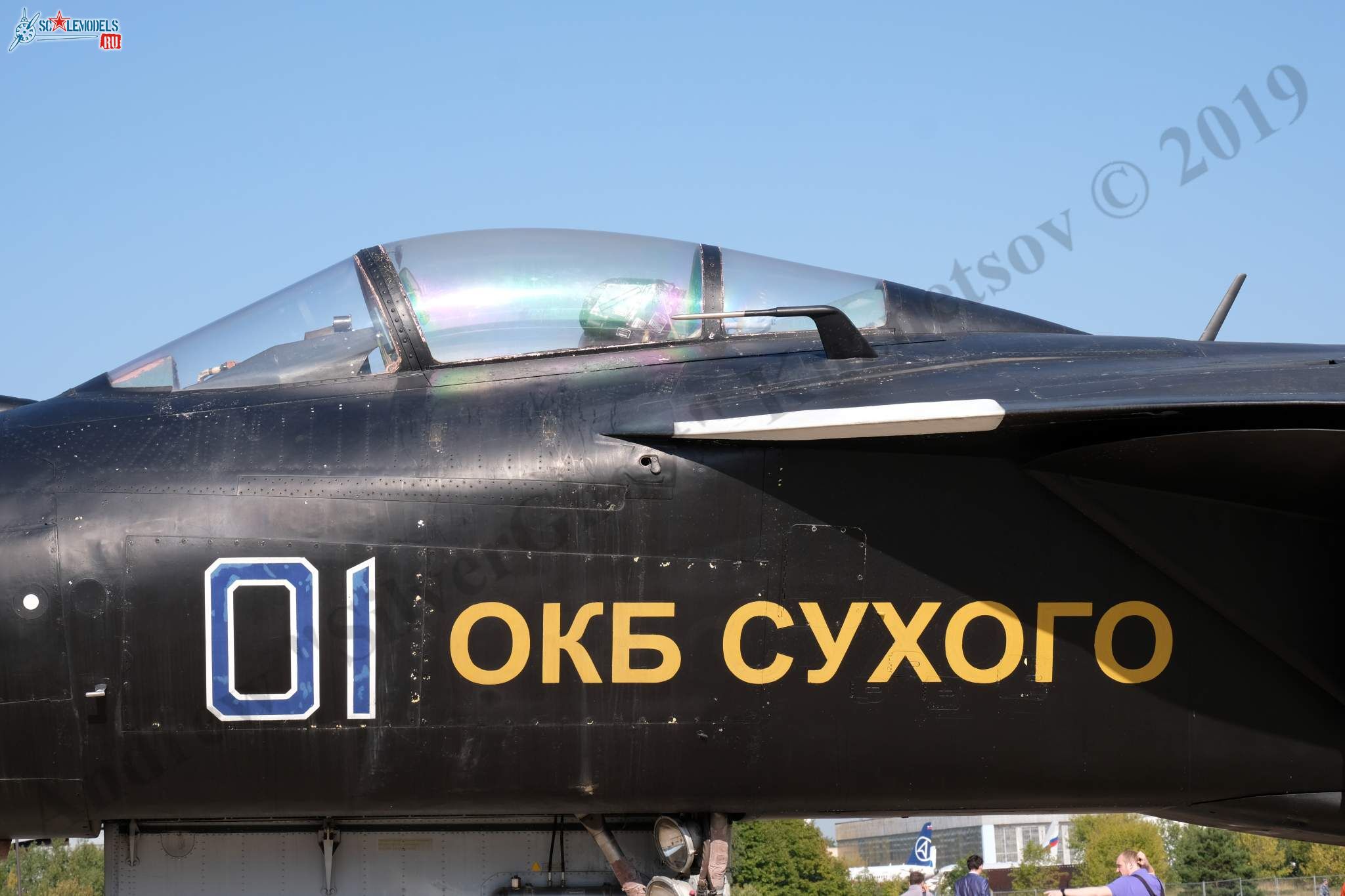 Su-47_Berkut_373.jpg