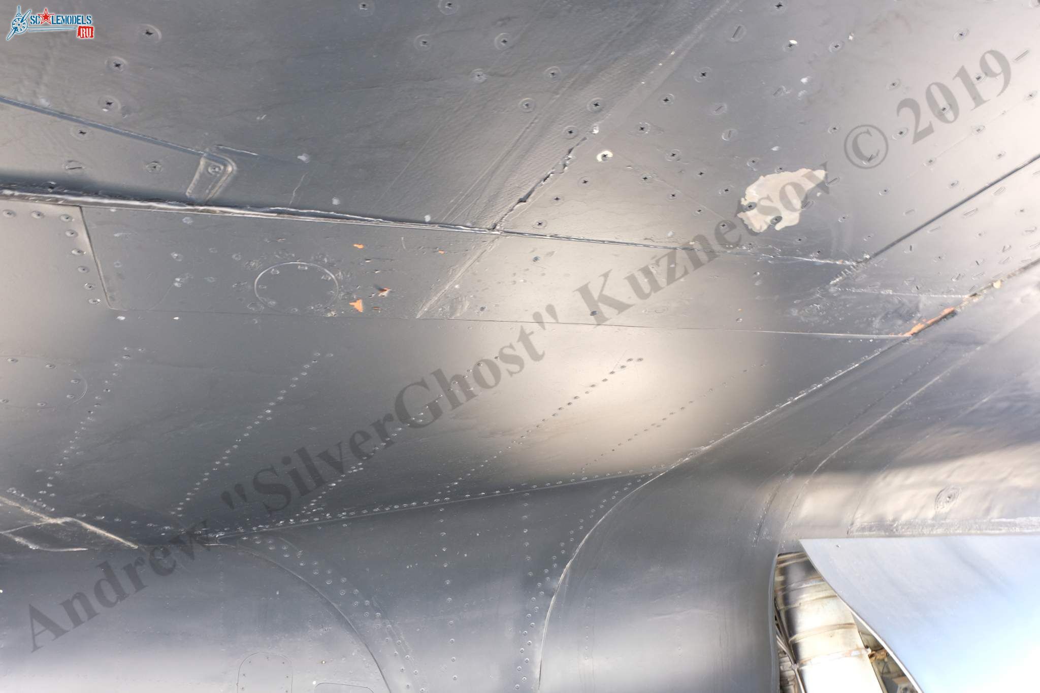 Su-47_Berkut_502.jpg