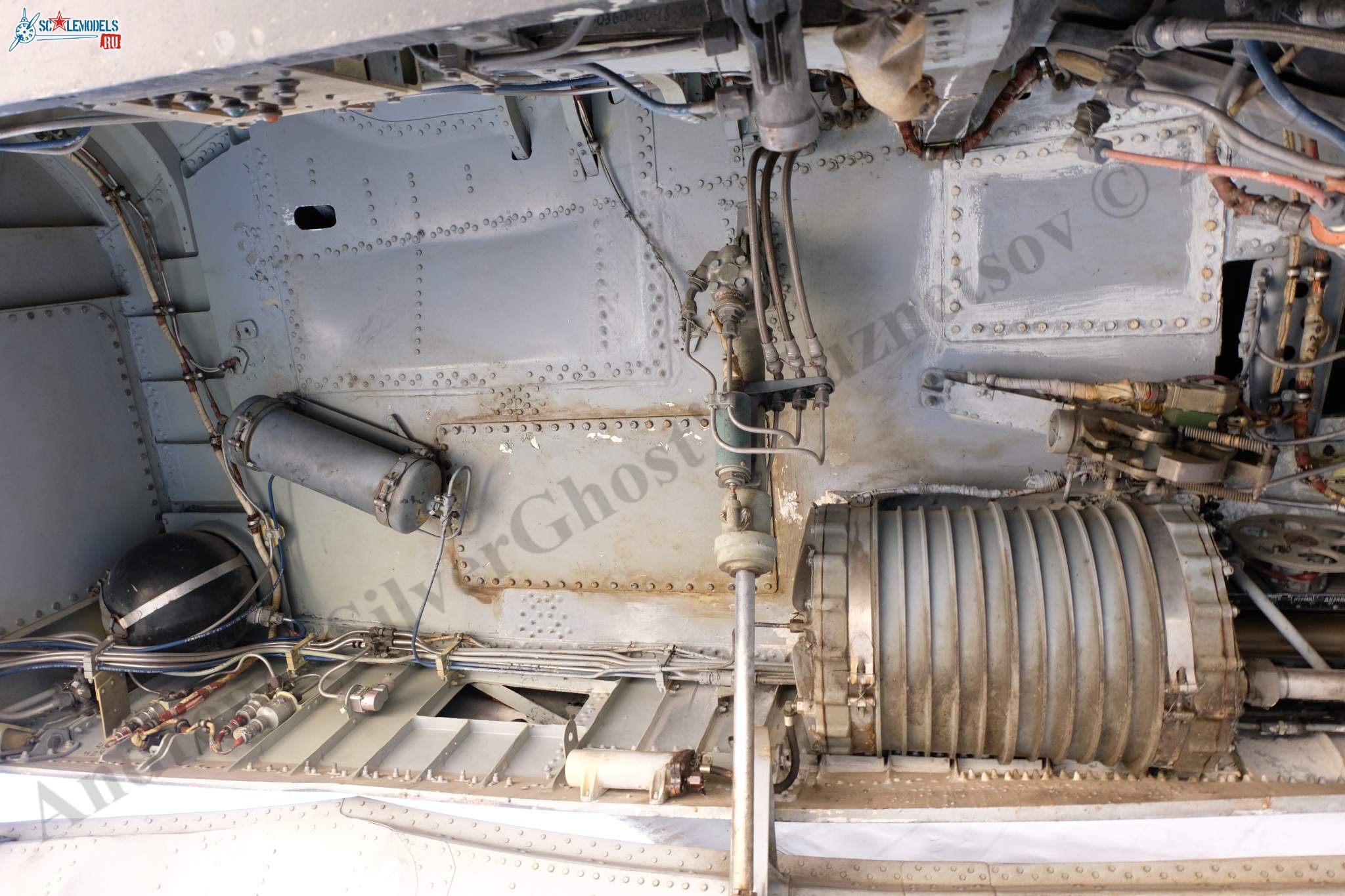 Su-47_Berkut_567.jpg
