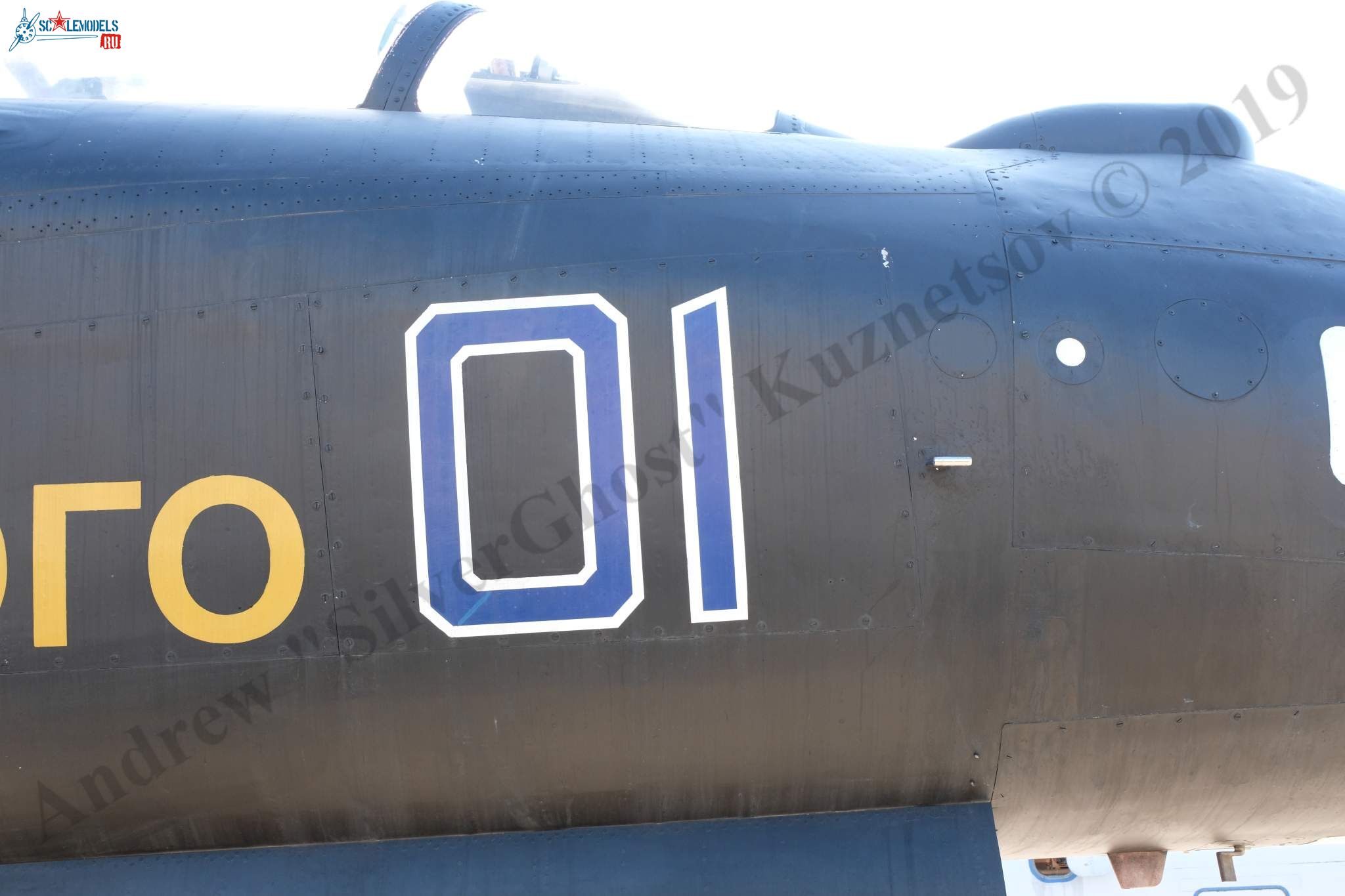 Su-47_Berkut_600.jpg
