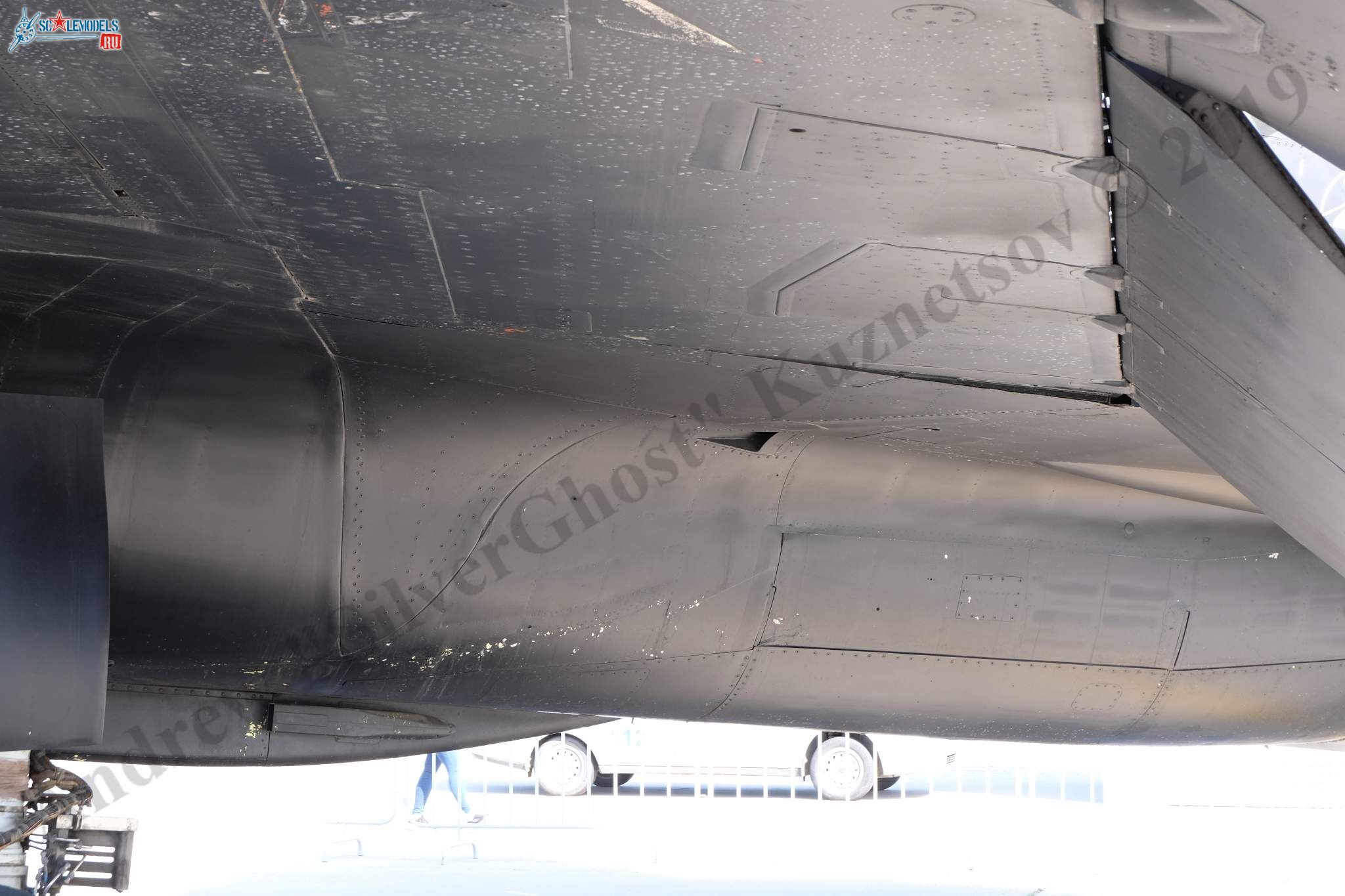 Su-47_Berkut_88.jpg