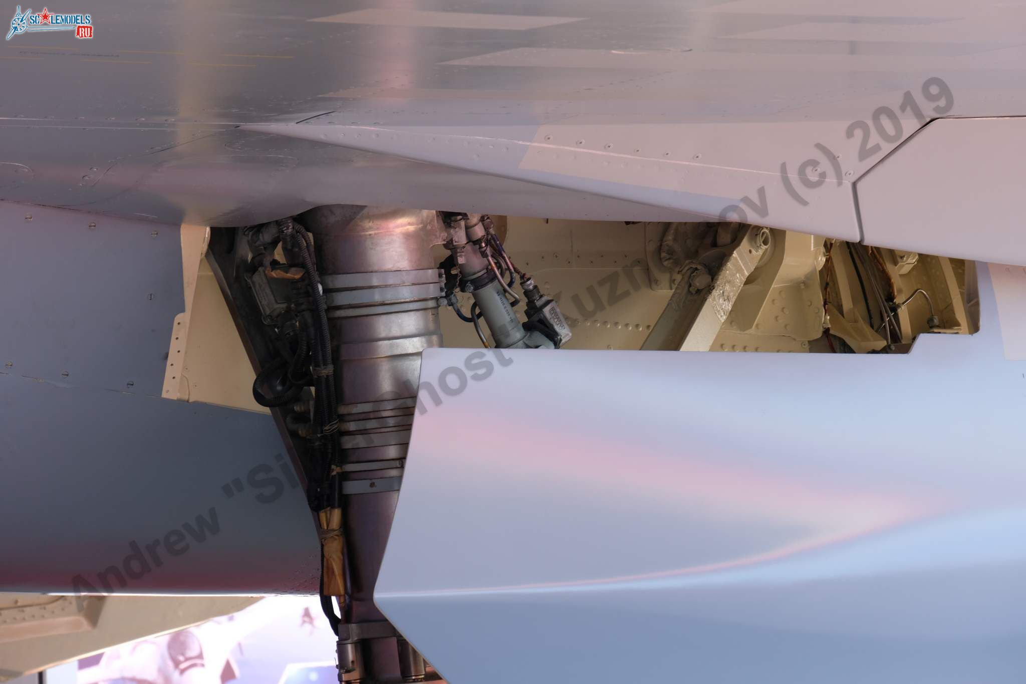 T-50_057_mockup_186.jpg