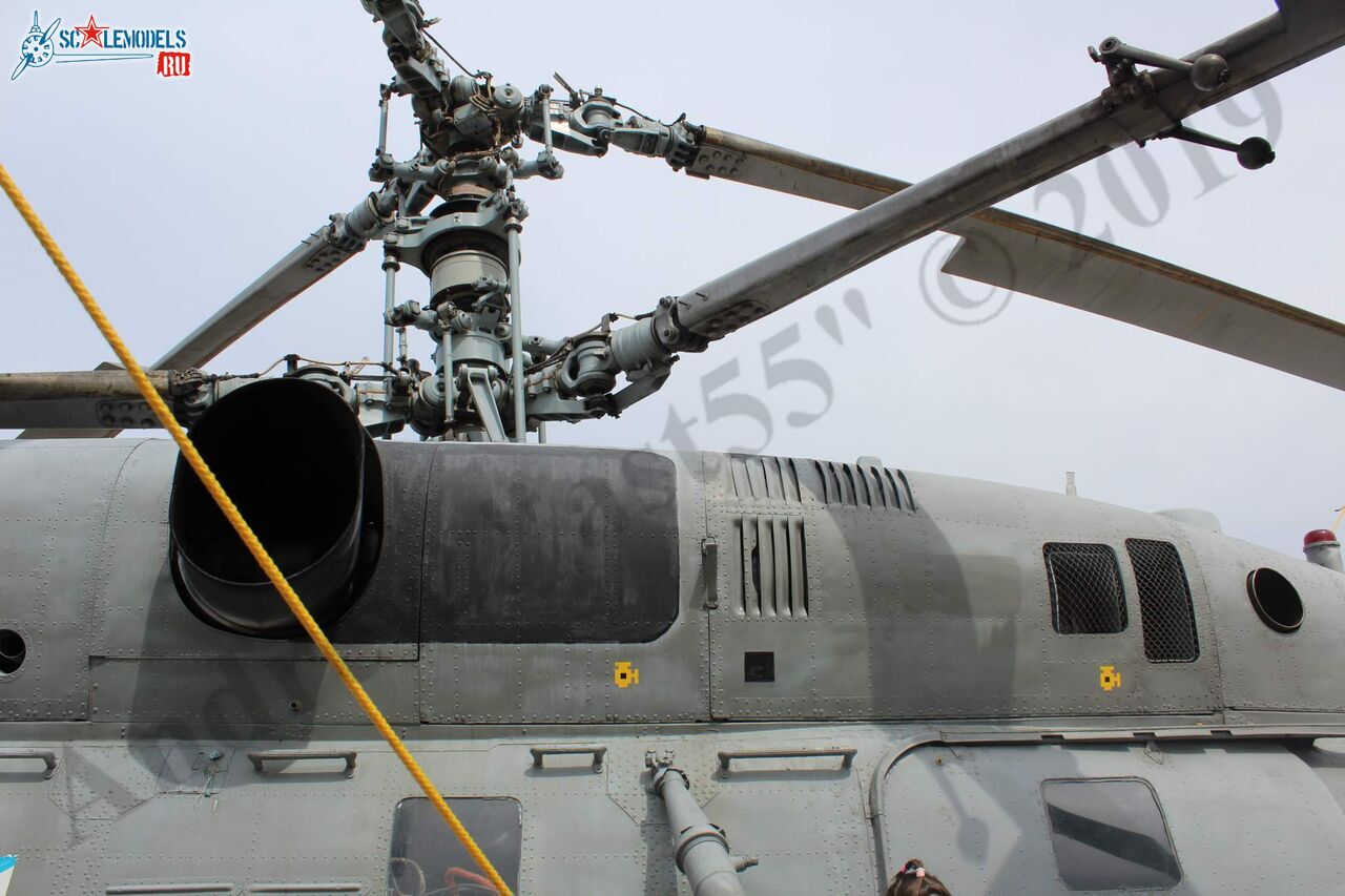 Ka-27PL_Kacha_10.jpg