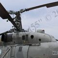 Ka-27PL_Kacha_24.jpg