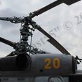 Ka-27PL_Kacha_31.jpg