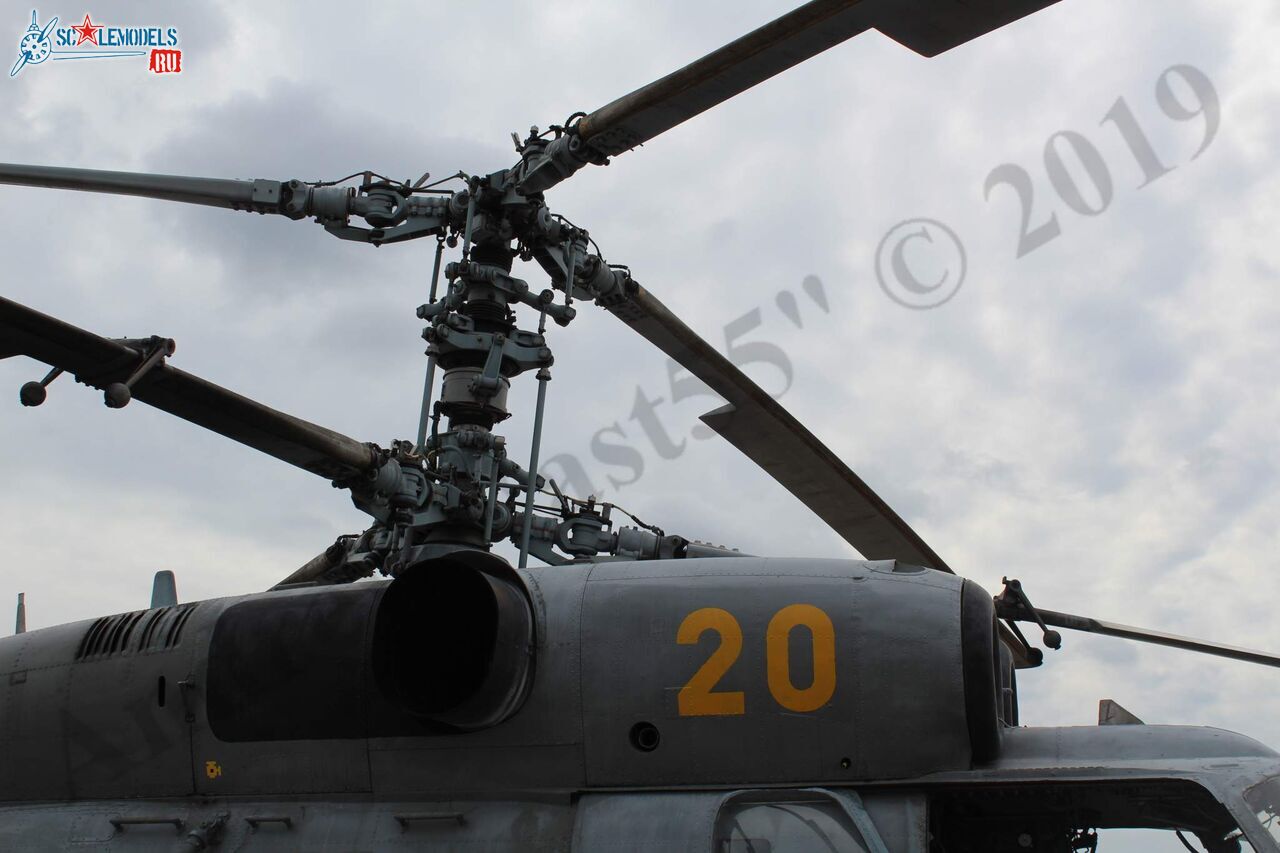 Ka-27PL_Kacha_31.jpg