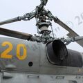 Ka-27PL_Kacha_39.jpg