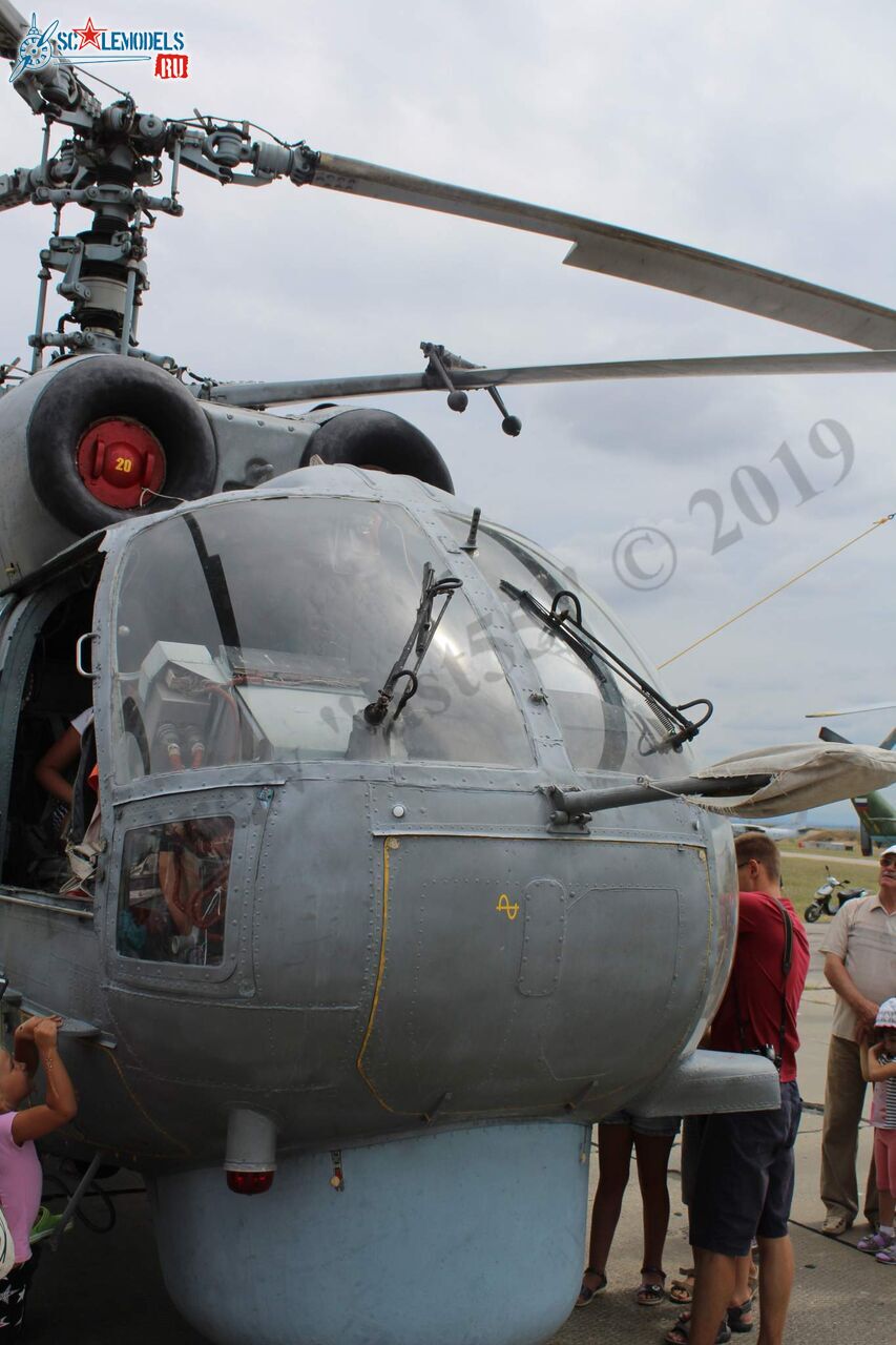 Ka-27PL_Kacha_49.jpg