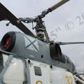 Ka-27PS_Kacha_38.jpg