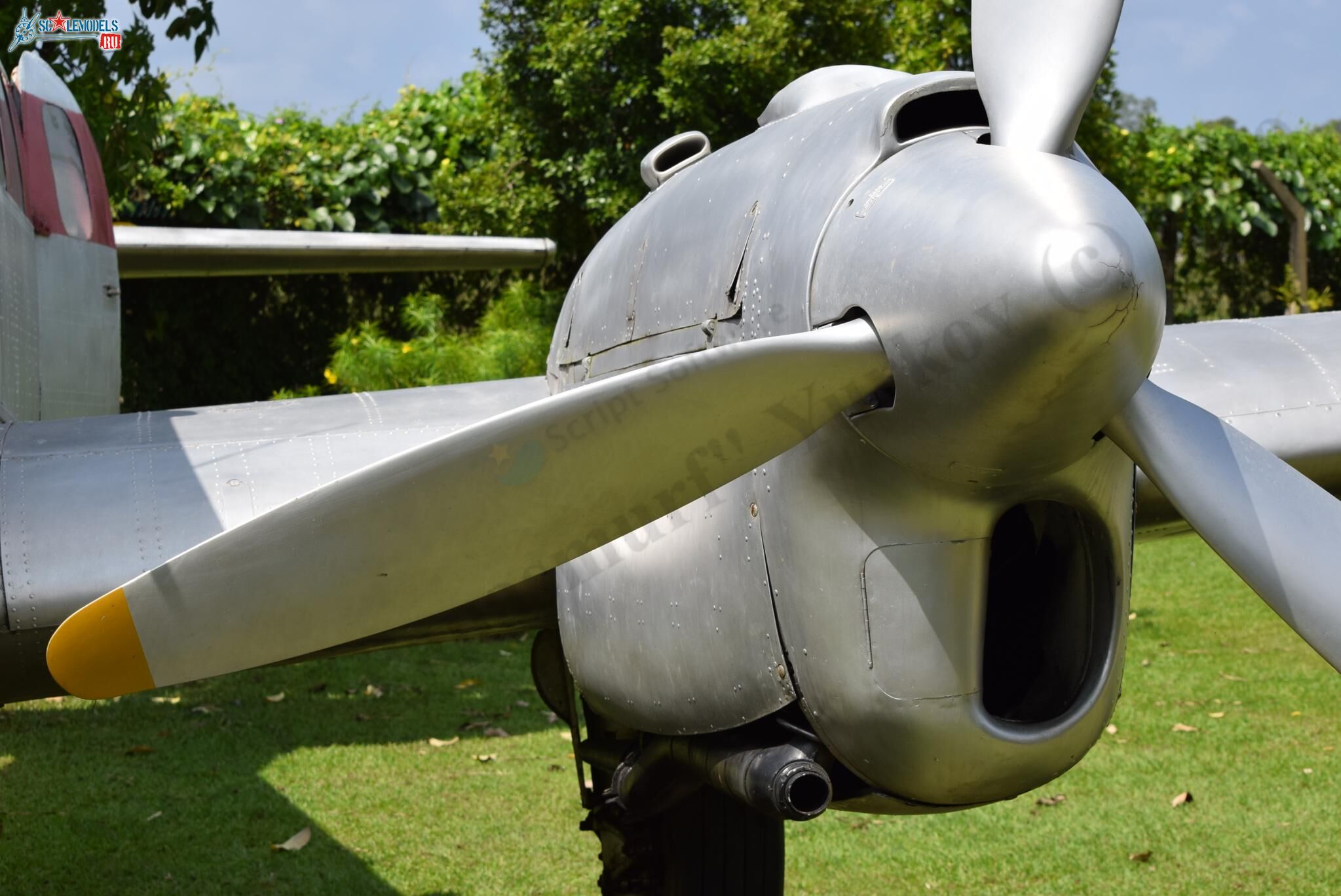 DH-104_Dove_Ratmalana_11.jpg