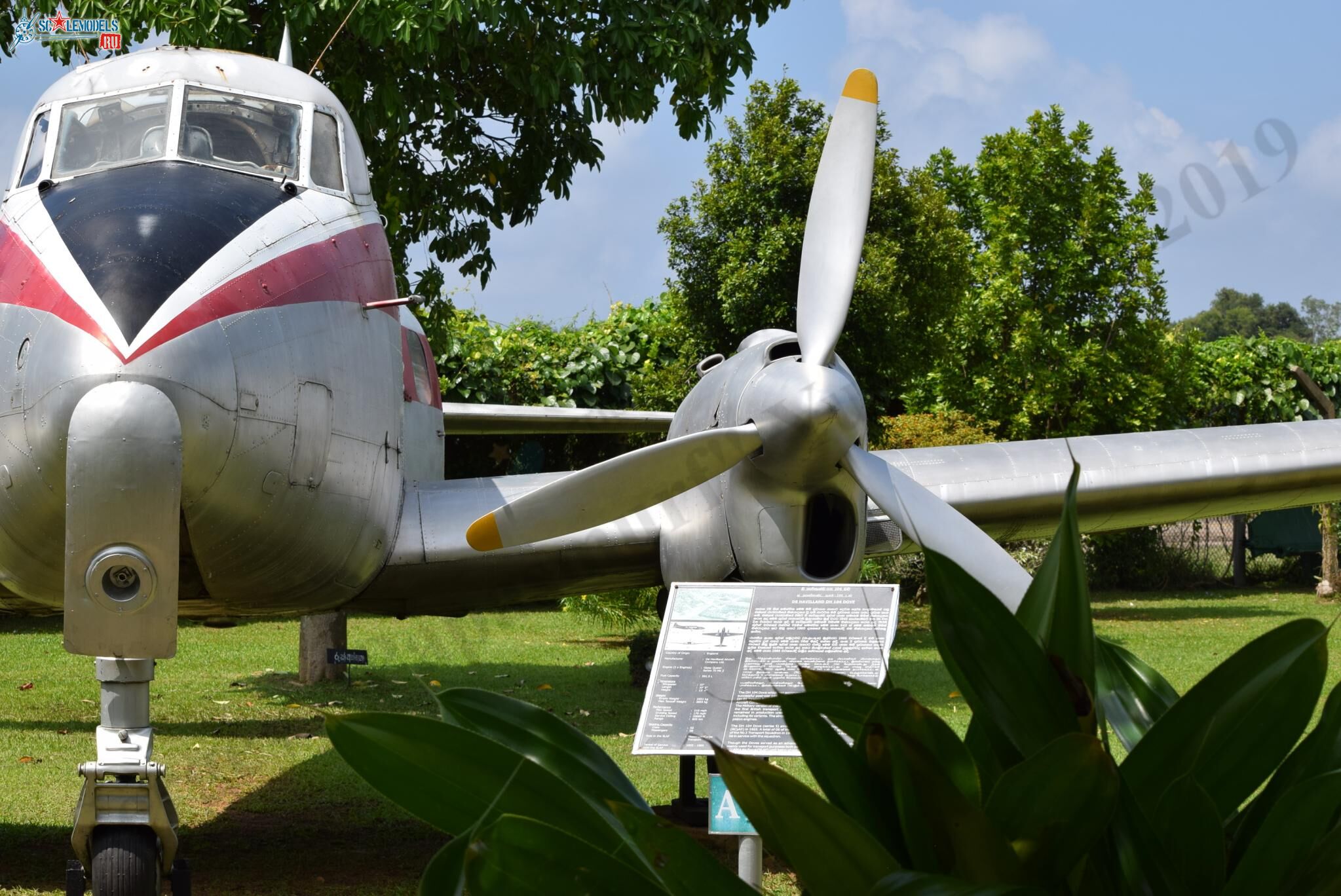 DH-104_Dove_Ratmalana_15.jpg