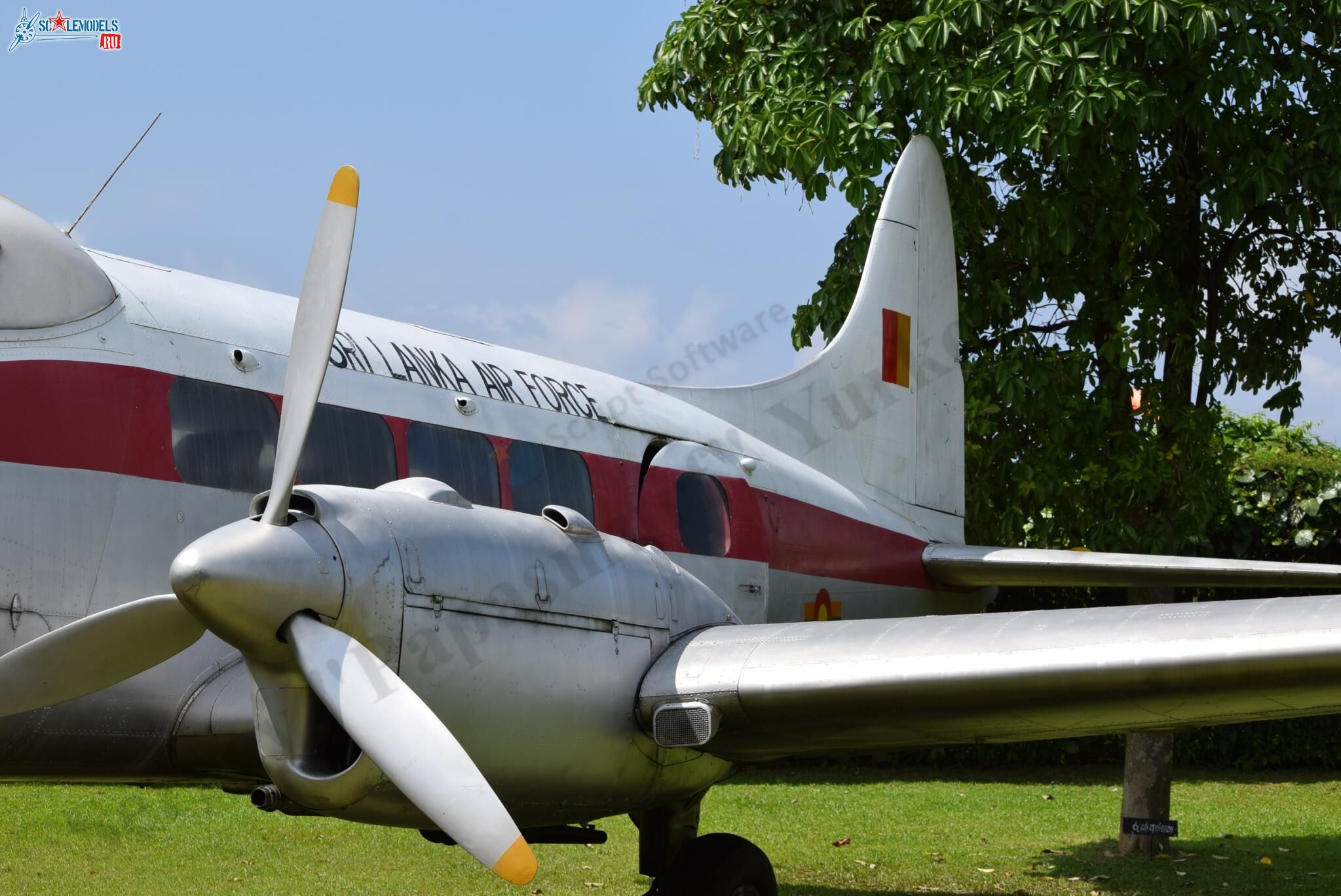 DH-104_Dove_Ratmalana_2.jpg