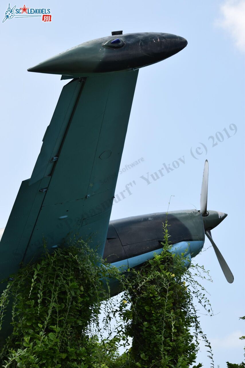 SIAI_SF.260_Ratmalana_182.jpg