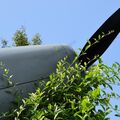 SIAI_SF.260_Ratmalana_94.jpg