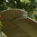 DH-114_D2_804_Ratmalana_28.jpg