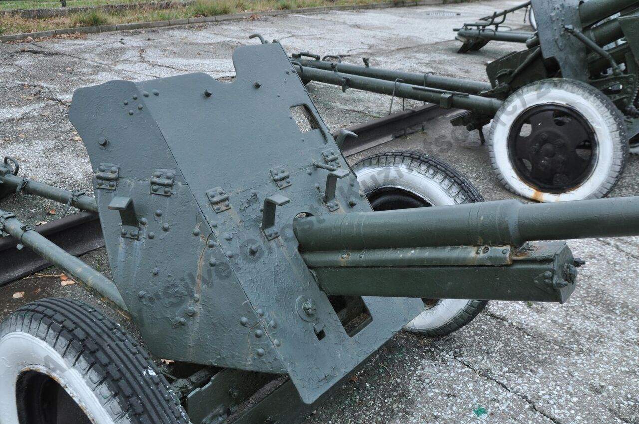 45-mm_anti-tank_gun_M-42_67.jpg