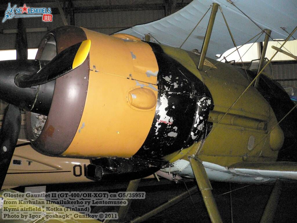 Gloster Gauntlet II (2).JPG