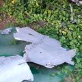 Lockheed_U-2F_wreck_14.jpg