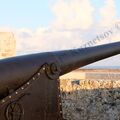 Spain_fortress_gun_1890_106.jpg