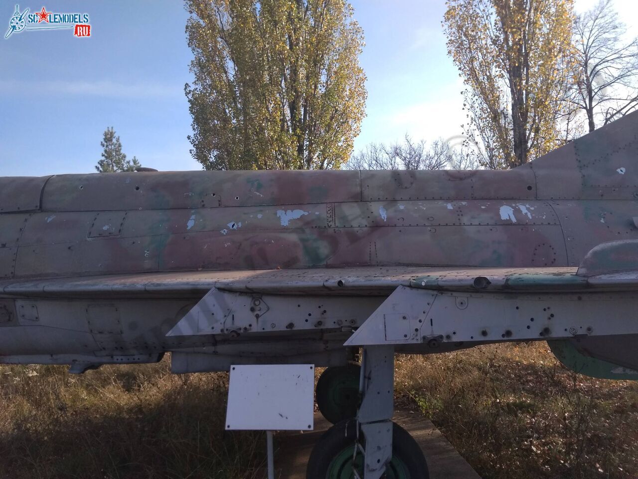 MiG-21SM_Lugansk_42.jpg