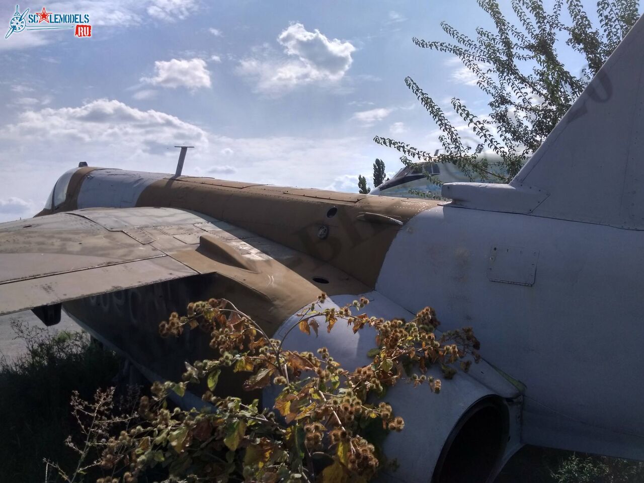 Su-25_Lugansk_15.jpg