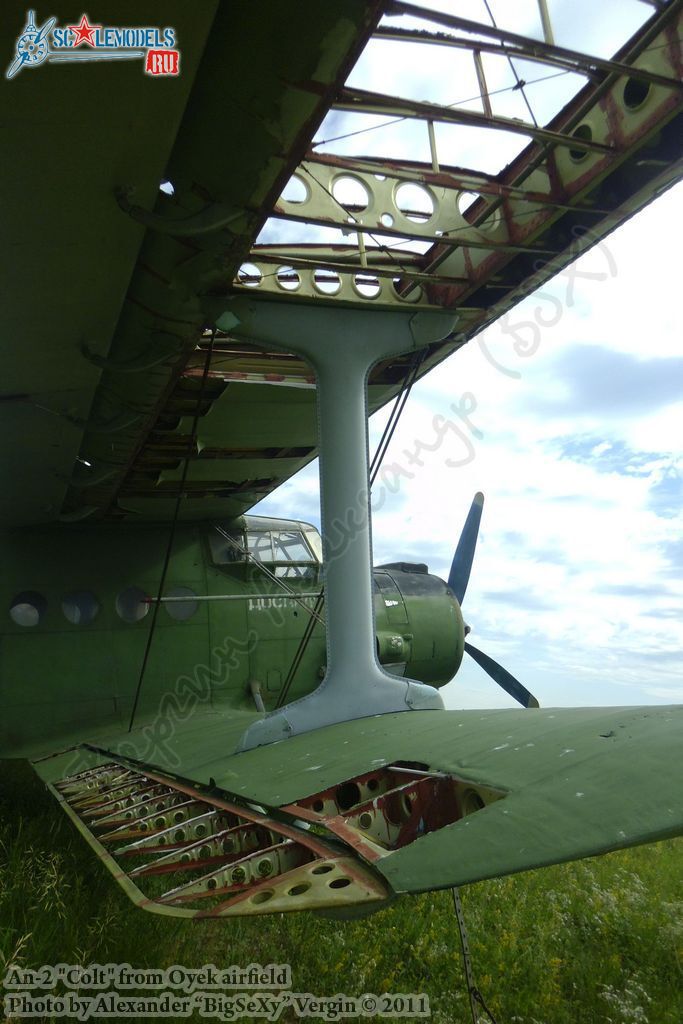 An-2 (BuNo 06)_Oyek_137.JPG