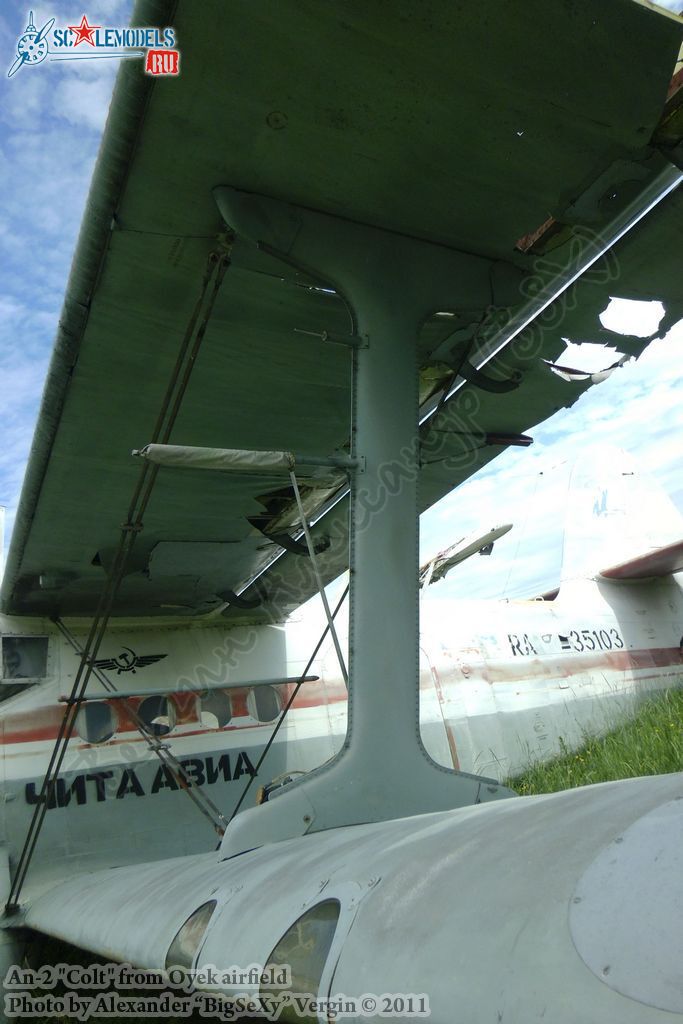 An-2 (RA-35103)_Oyek_042